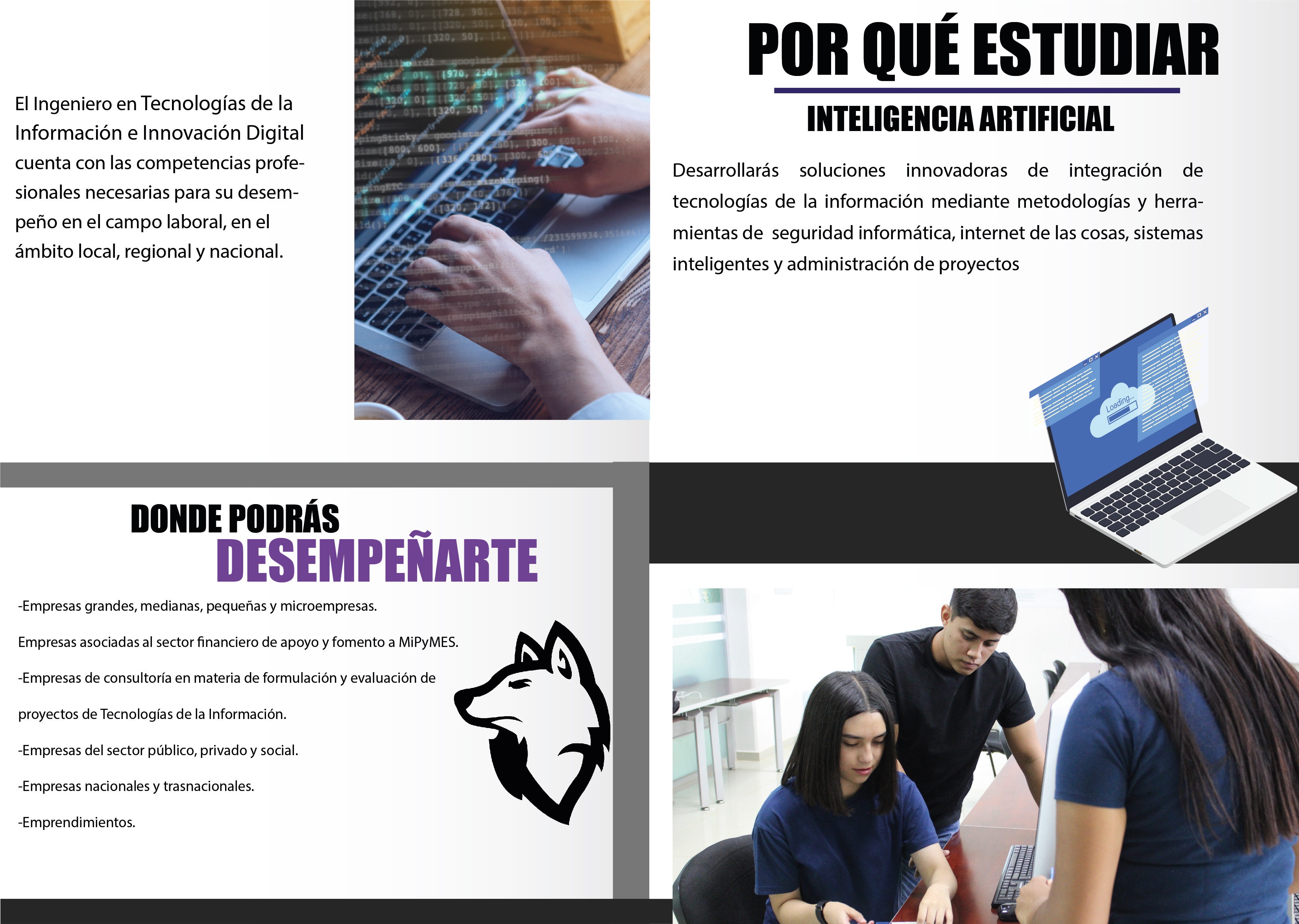 Desarrollo y Gestión de Software